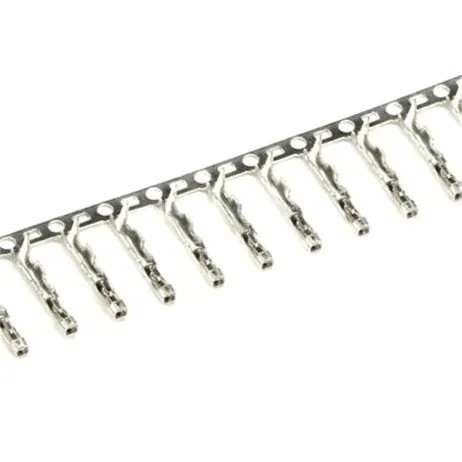 Main Product